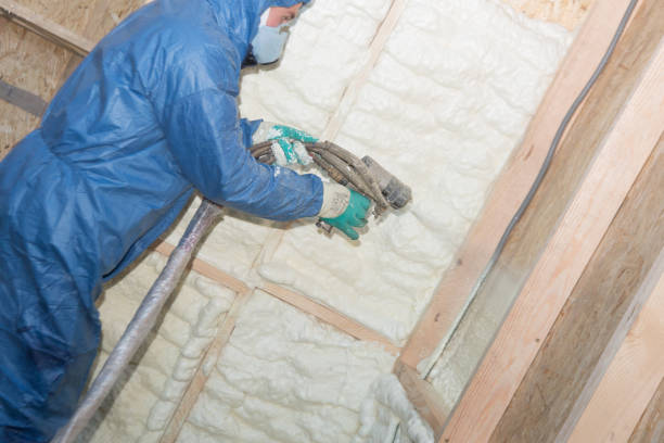 Best Insulation for New Construction  in Roseville, MI